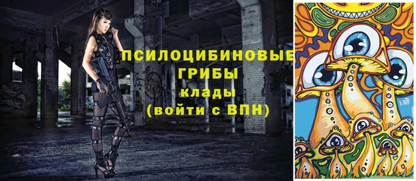 крисы Армянск