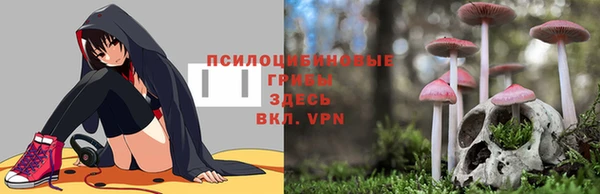герыч Арсеньев