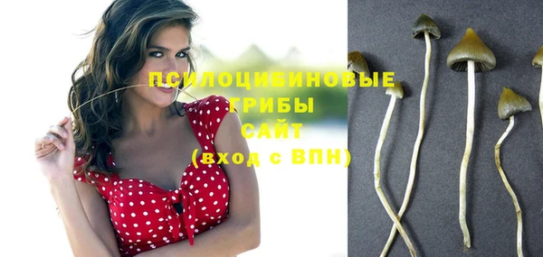 крисы Армянск