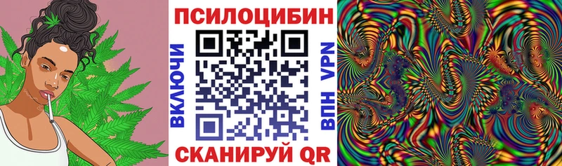 кракен зеркало  Бодайбо  Галлюциногенные грибы Magic Shrooms  купить наркотики цена 